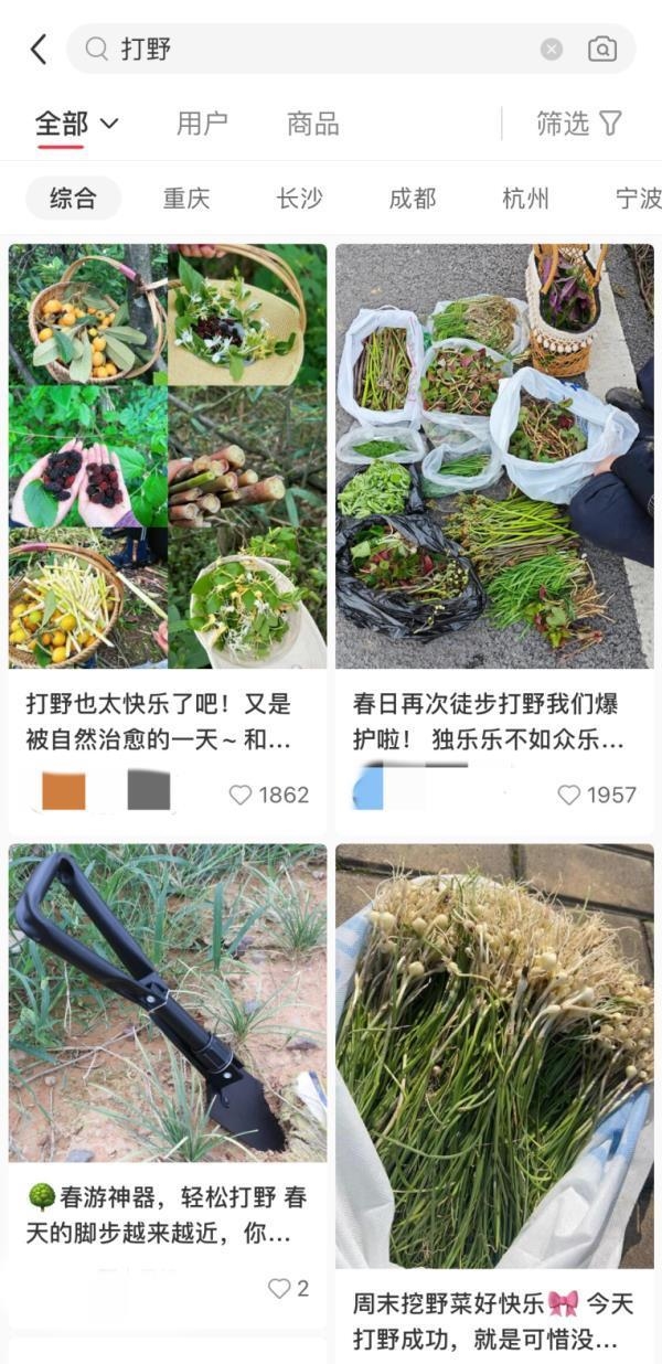 大妈连吃7天野菜晕厥！医生提醒：千万别自行挖野菜食用
